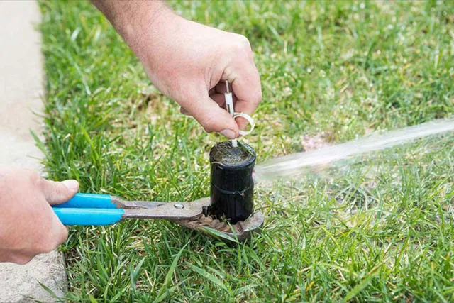 Hands adjusting a pop-up sprinkler head set into a lawn.