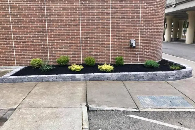 Commercial building border bed, mulched and edged with stone.
