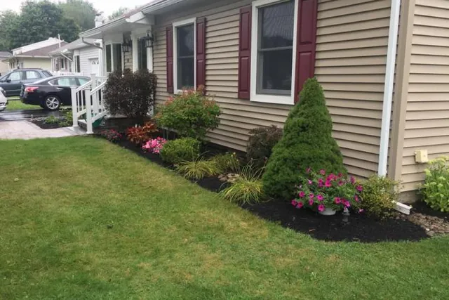 Front bed with clipped shrubs and seasonal planting.