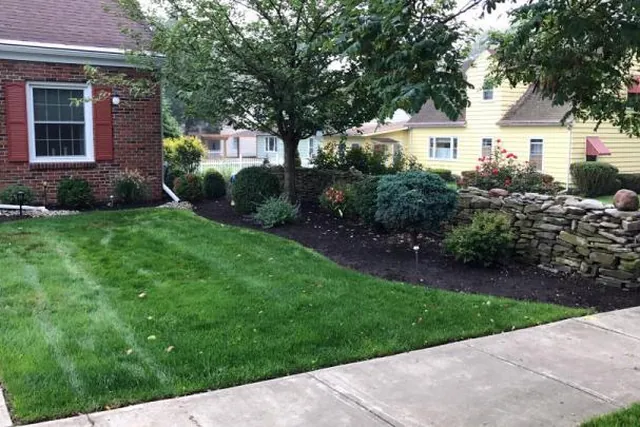 A maintained front lawn and mulched bed.