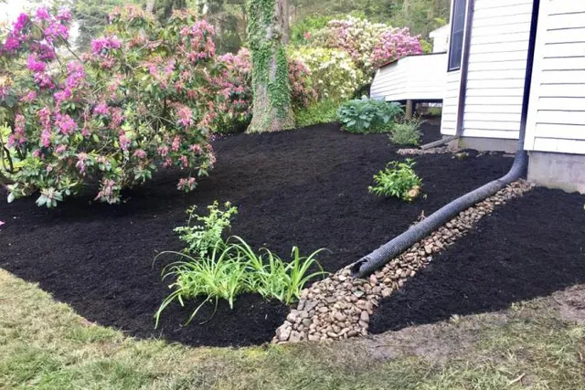 Freshly mulched bed with new plantings and a crisp edge.