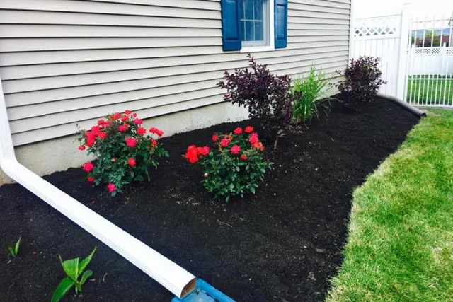 Mulched foundation bed in flower along a house wall.