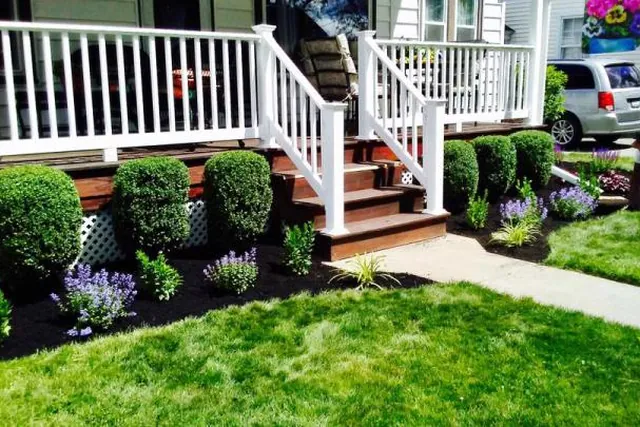 Front steps framed by clipped shrubs and seasonal colour.